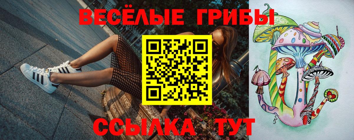 Галлюциногенные грибы мухоморы Кузнецк