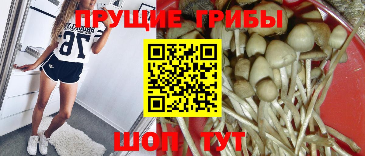 Псилоцибиновые грибы ЛСД  Галлюциногенные грибы Cubensis  Кузнецк  Вход с VPN 