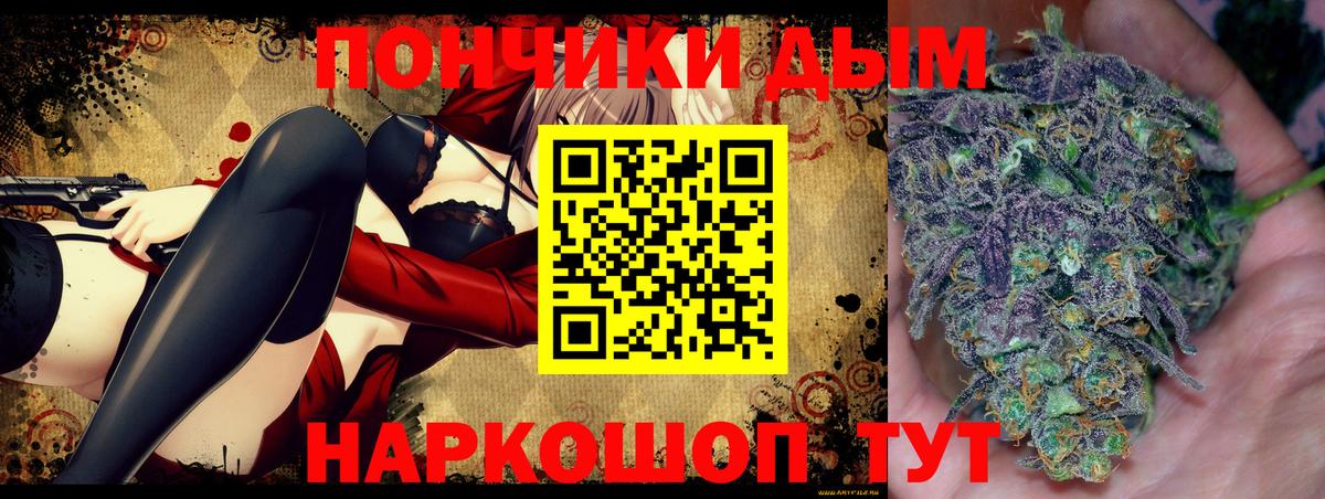 Шишки марихуана планчик  Канабис гибрид  Вход с VPN  МАРИХУАНА сатива  Кузнецк 